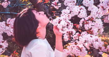 Modèle posant devant un cerisier en fleur lors d'Hanami