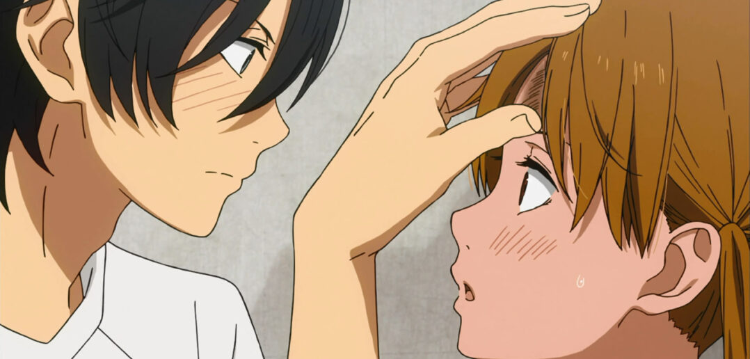 Le garçon d'à côté, saison 1. - Japan Glossy