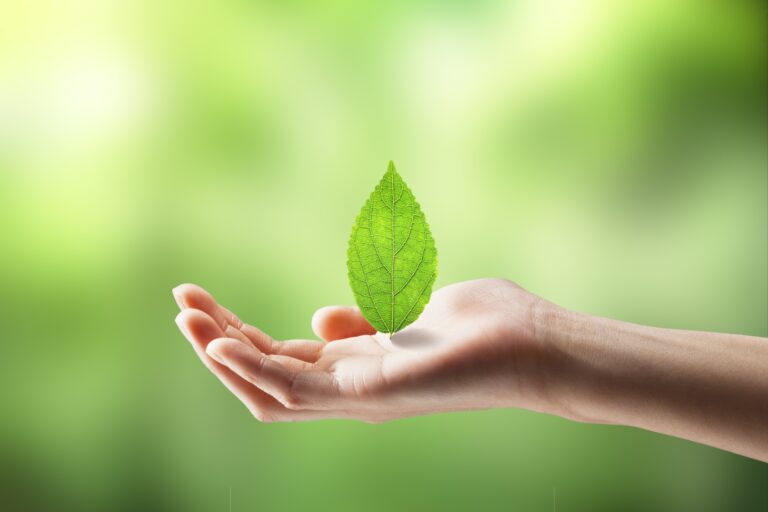 Le bio au Japon : à peine cinq produits bio dans mon supermarché